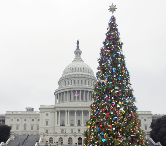 Permit Wizard helps with oversize permits for the Capitol Christmas Tree