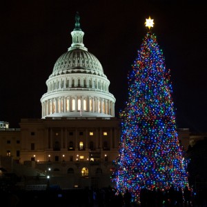 Permit Wizard_Capitol Christmas Tree at Night